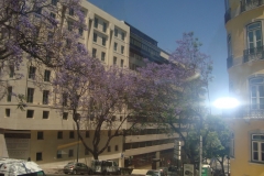 DSC03606