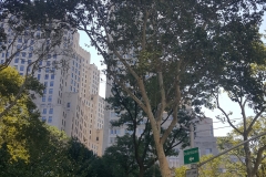 20150828_095041