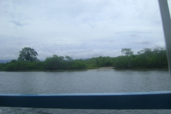 DSC01842