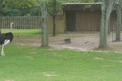20150827_154029