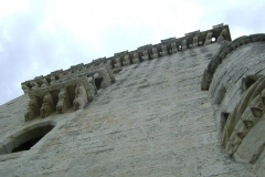 DSC06124