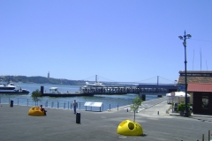 DSC02222