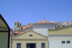 DSC02233