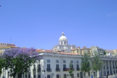 DSC02237