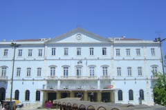 DSC02239