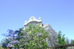 DSC02243