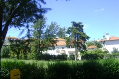 DSC02260