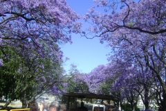 DSC02271