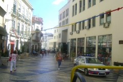 DSC03629