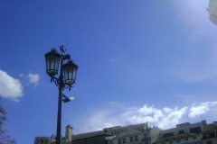 DSC03642