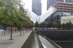DSC_0013