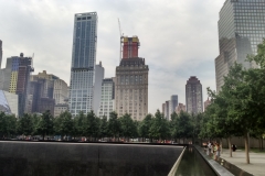 DSC_0017
