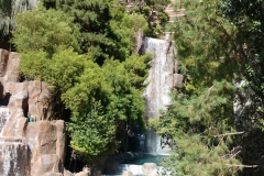 wynn13