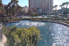 wynn15