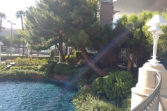 wynn16