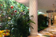 wynn4