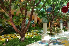 wynn5