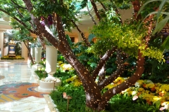 wynn6