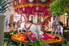 wynn7