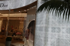 wynn8