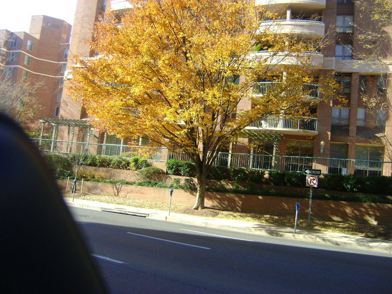 dsc00127