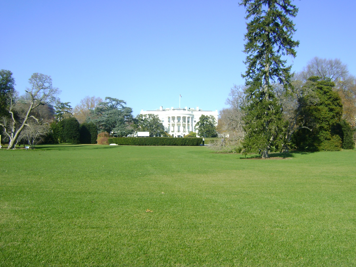 dsc00153