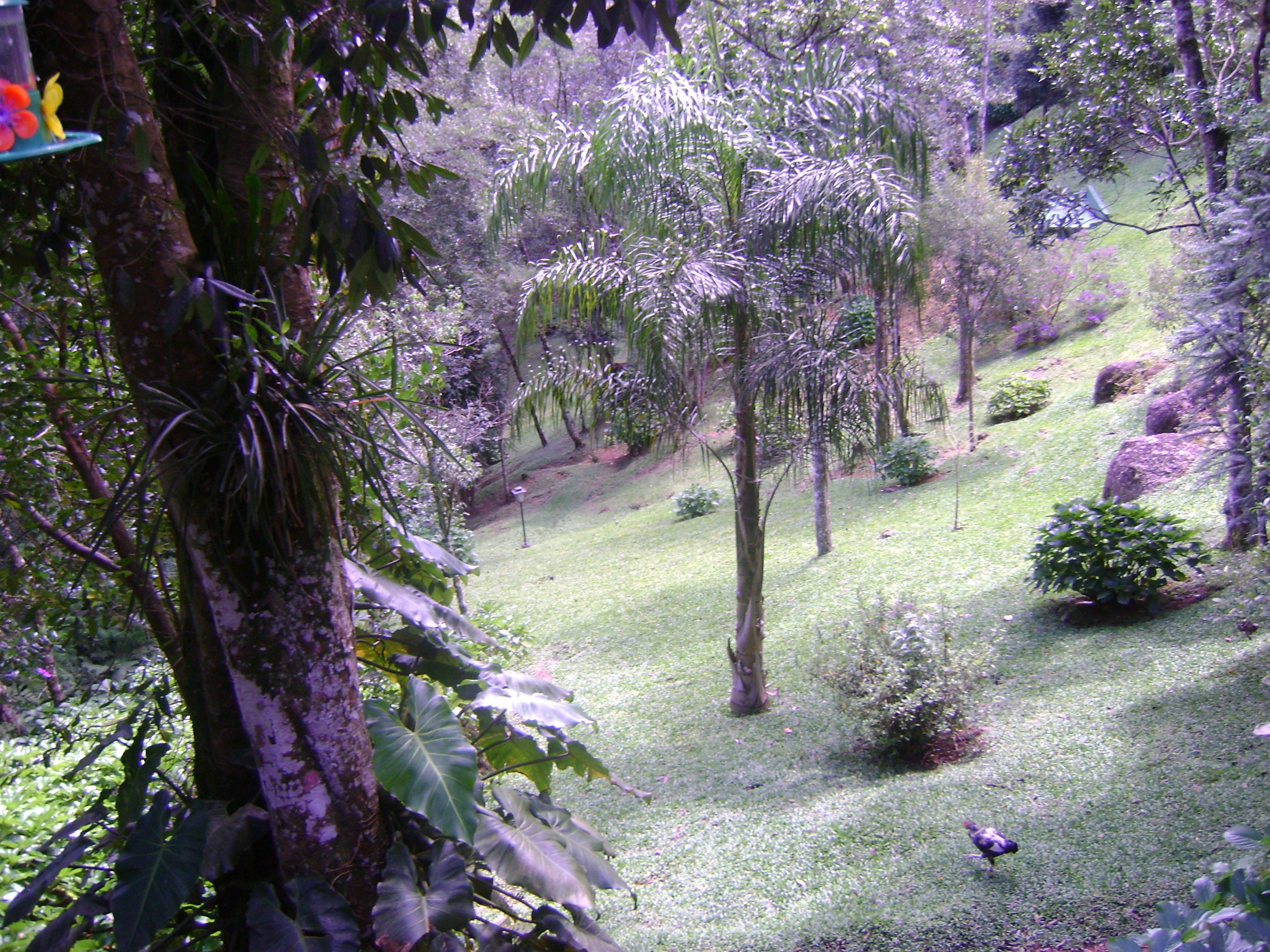 dsc01831