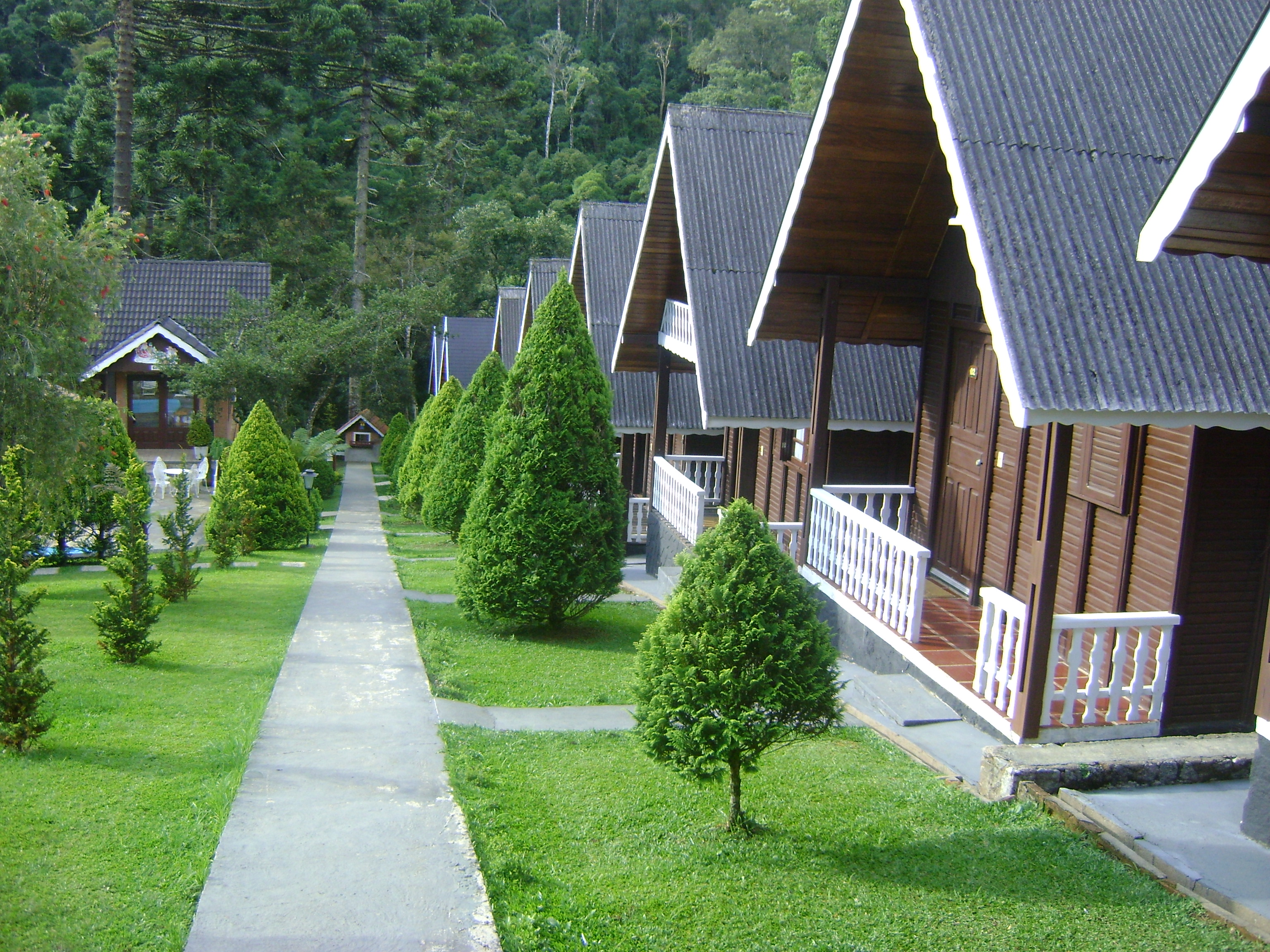dsc01904