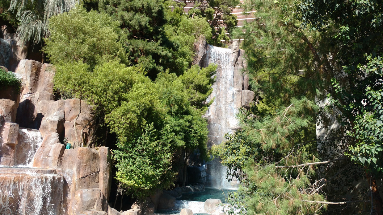 wynn13