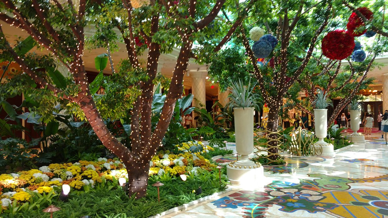 wynn5