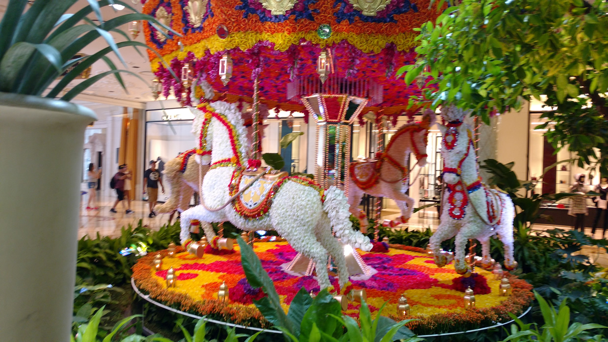 wynn7