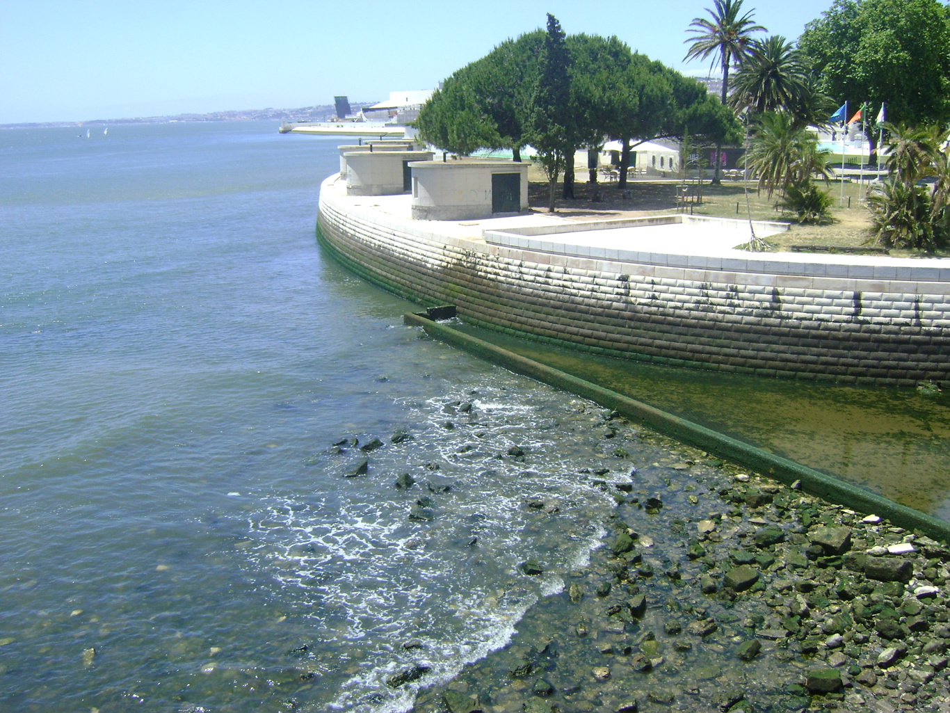 dsc02131