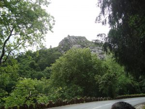 dsc03616