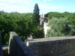 dsc03668