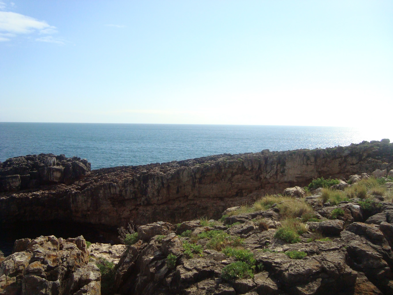 dsc04477