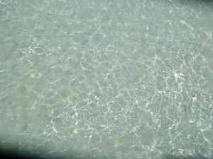 dsc00146