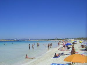 dsc00154