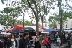 DSC05107