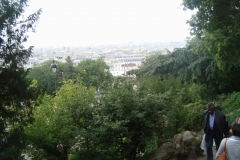 DSC05116