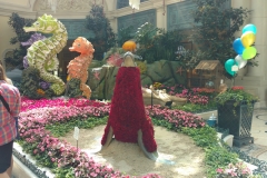 belagio10