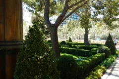 belagio16