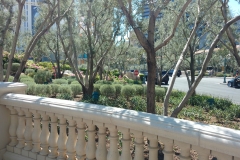 belagio17