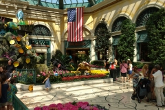 belagio5