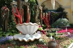 belagio6