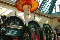 belagio7