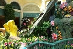 belagio8