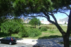 DSC02078