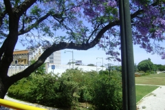 DSC02080