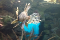 mandalay bay6