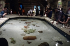 mandalay bay7